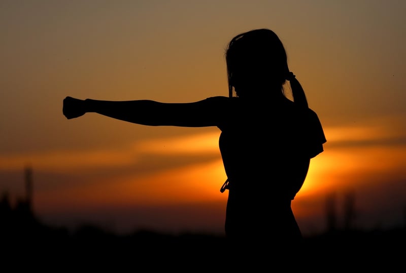 Tai Chi Fan